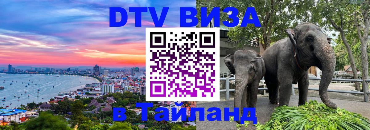 Оформление DTV визы под ключ: стоимость и тарифы, только загранпаспорт - Нижний Тагил 